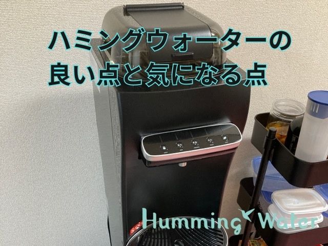 自宅のハミングウォーターの画像に「ハミングウォーターの良い点と気になる点」の文言を表示
